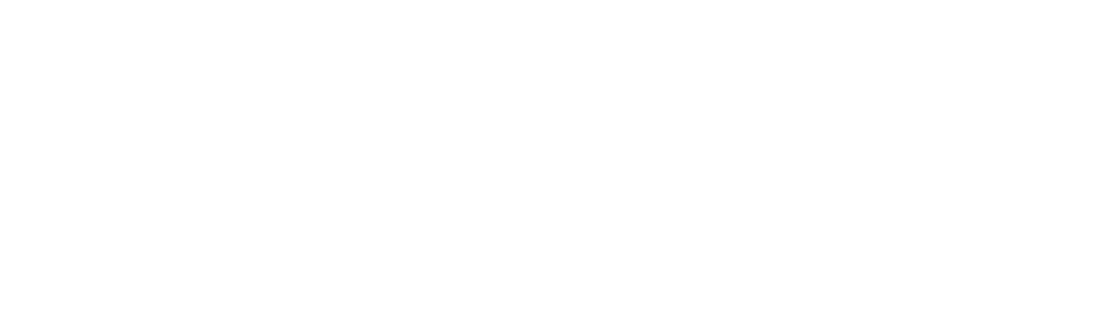 Registry Cleaner Light Logo